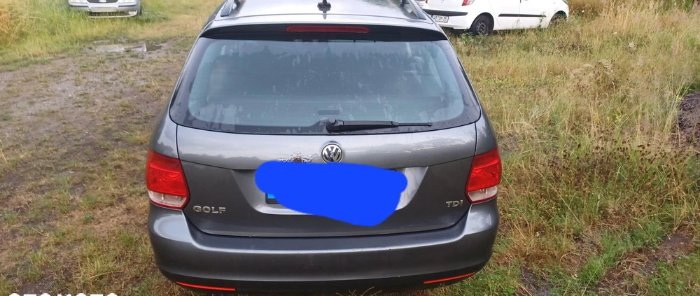 Volkswagen Golf cena 5999 przebieg: 520000, rok produkcji 2008 z Kościerzyna małe 326